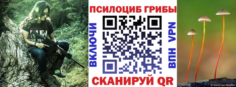 Псилоцибиновые грибы Psilocybine cubensis  mega как войти  Устюжна 