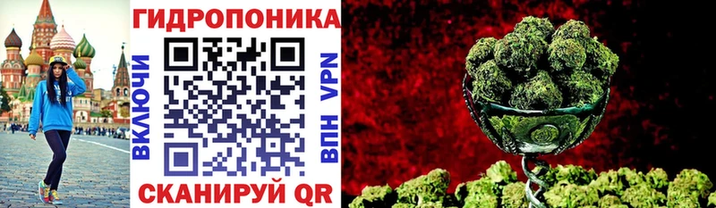 где продают   Устюжна  Марихуана марихуана 